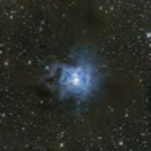 Meet your Posher, Ricky